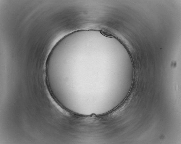 X0000094451479200711291648