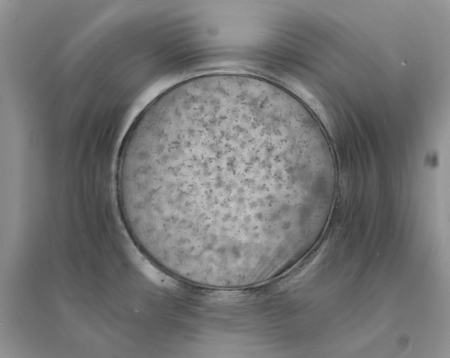 X0000094451482200711291648