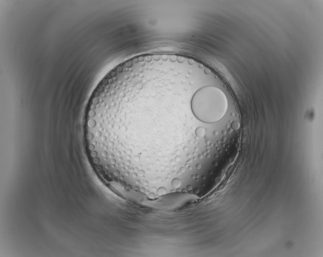 X0000094451483200711291648