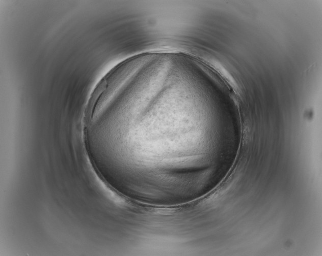 X0000094451484200711291648