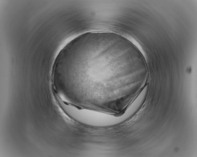 X0000094451485200711291648