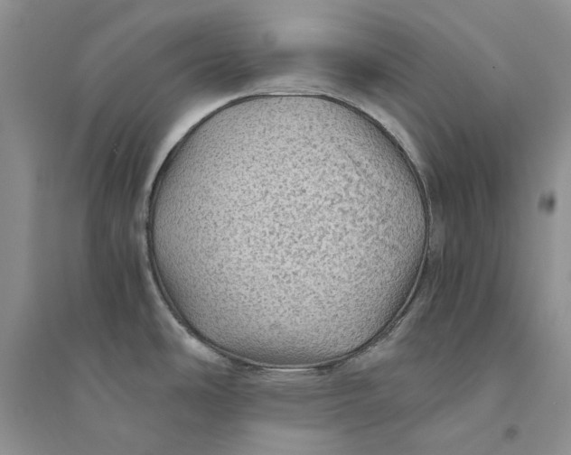 X0000094451486200711291648