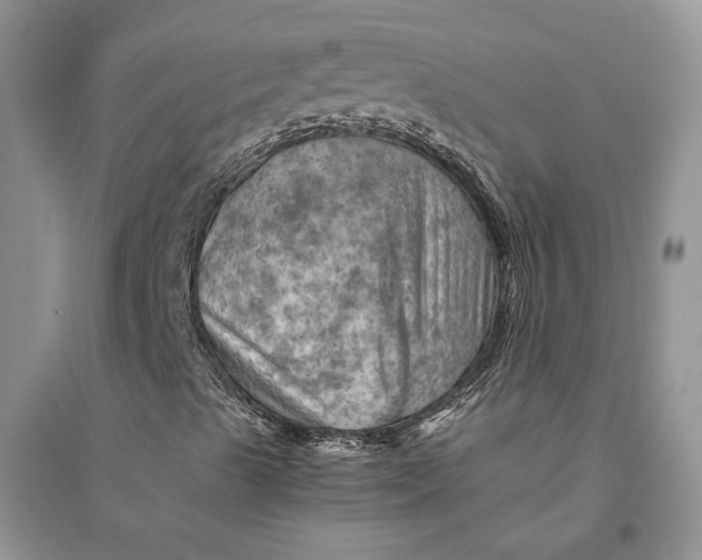 X0000094451489200711291647