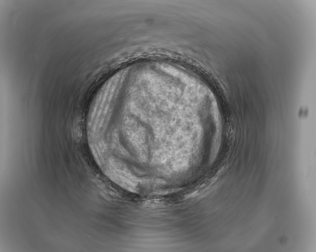 X0000094451490200711291647