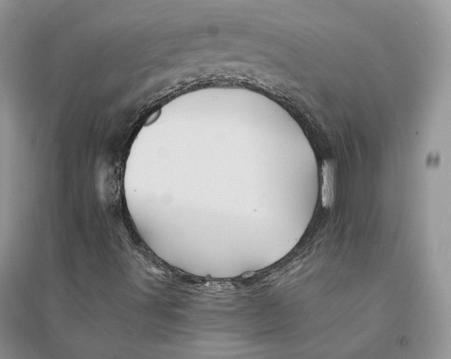 X0000094451491200711291647