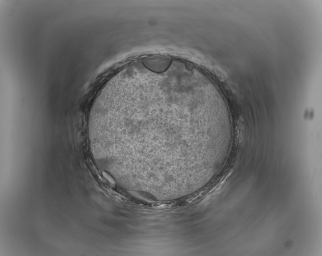 X0000094451494200711291647