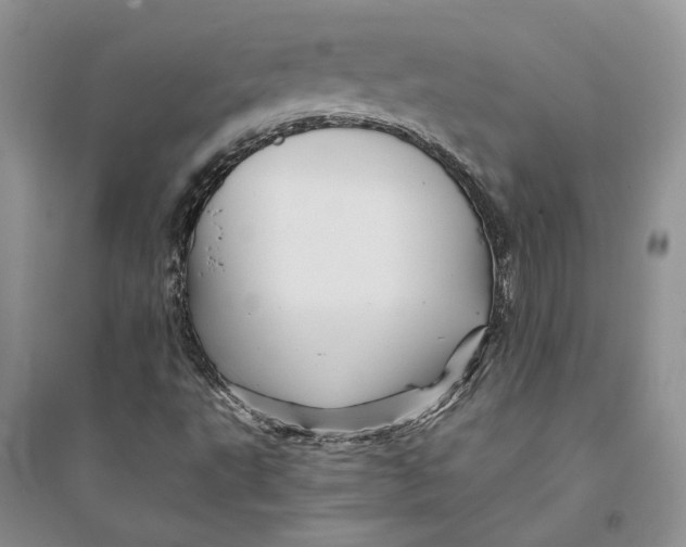 X0000094451495200711291647