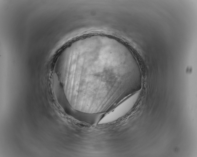 X0000094451496200711291647