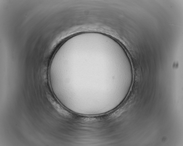 X0000094451499200711291647