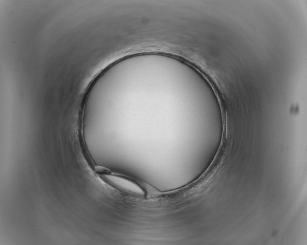 X0000094451500200711291647