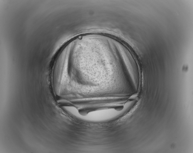 X0000094451501200711291647