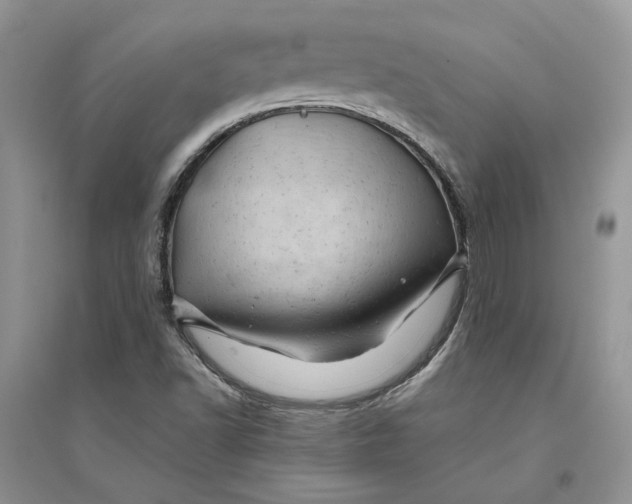 X0000094451502200711291647