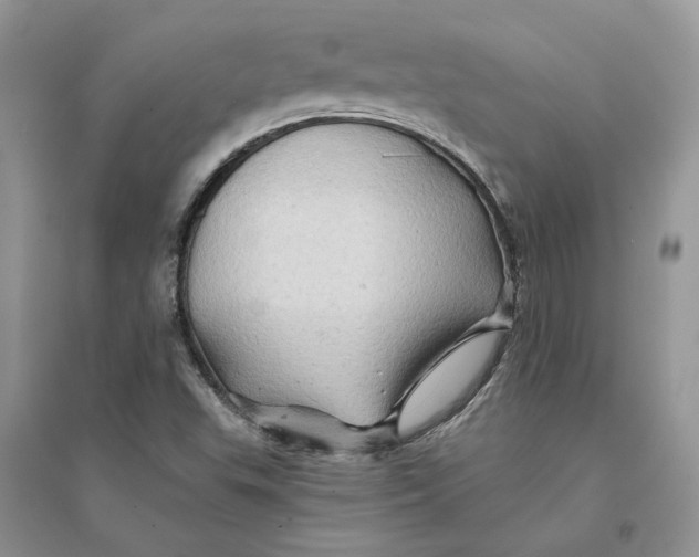 X0000094451503200711291647