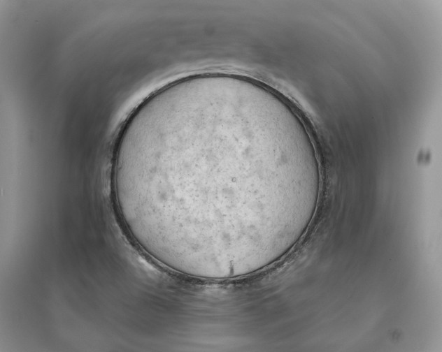 X0000094451504200711291647