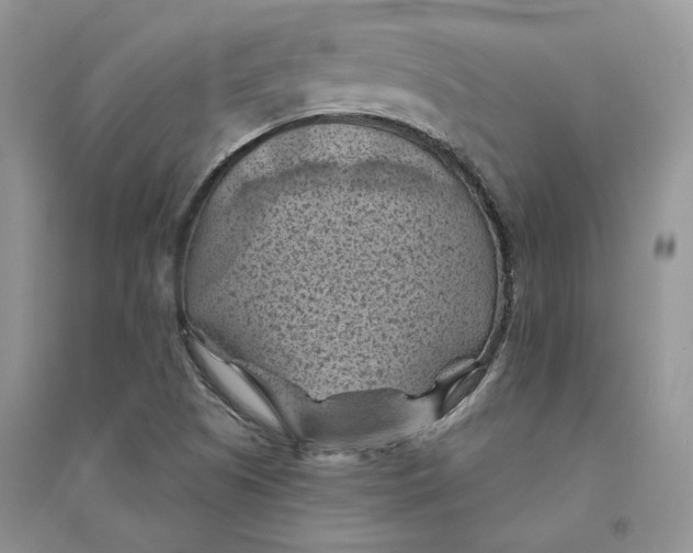 X0000094451505200711291647