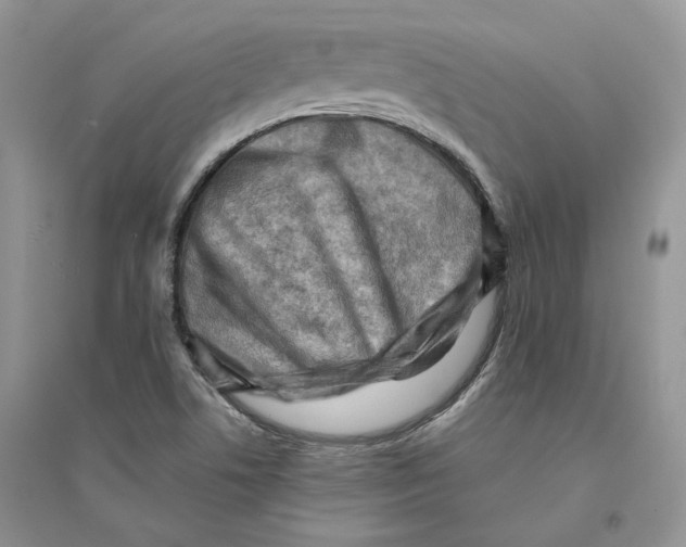 X0000094451506200711291647