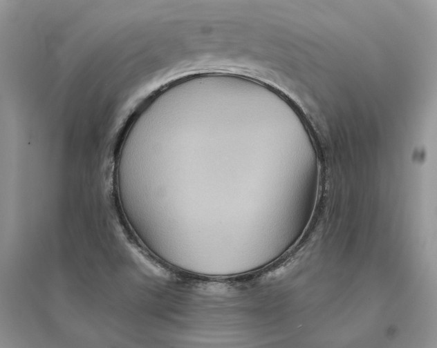 X0000094451507200711291647