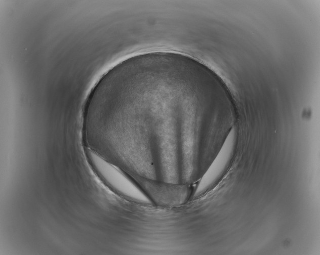 X0000094451508200711291647