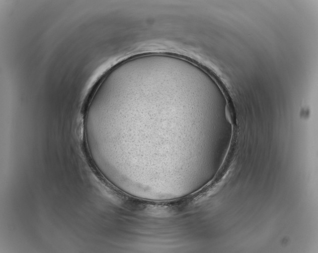 X0000094451509200711291647