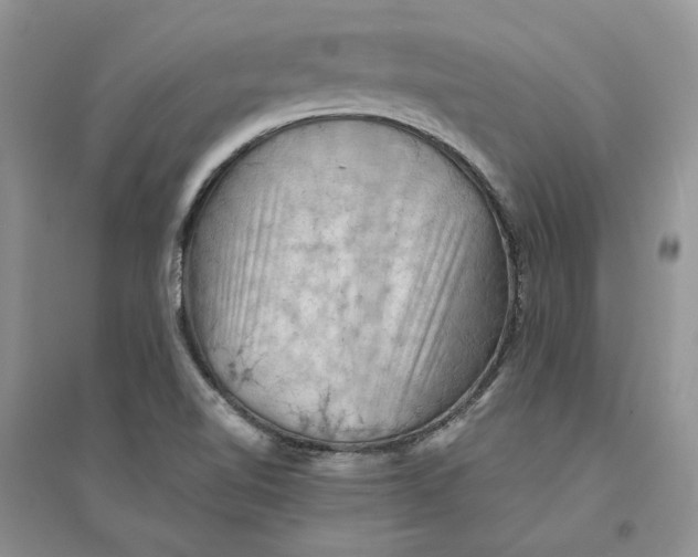 X0000094451510200711291647