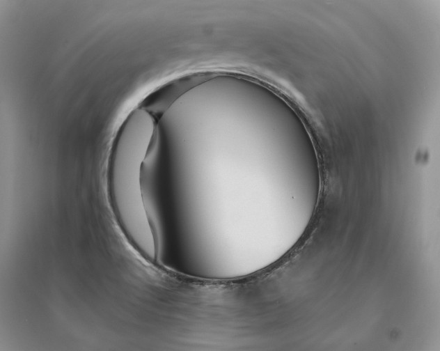 X0000094451512200711291647