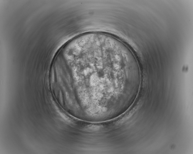 X0000094451513200711291647