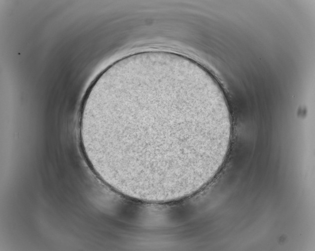 X0000094451514200711291647