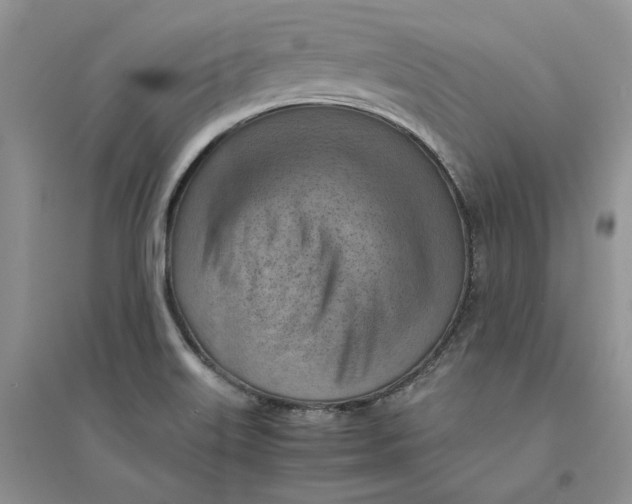 X0000094451515200711291647