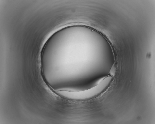 X0000094451516200711291647