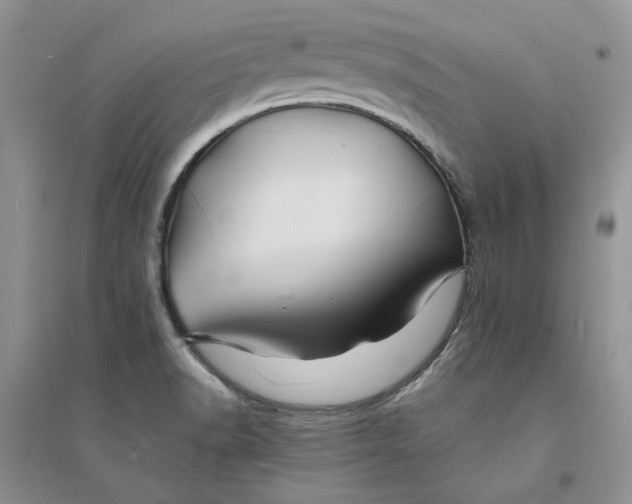 X0000094451518200711291647