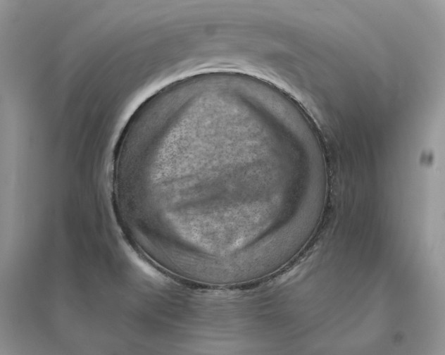 X0000094451519200711291647