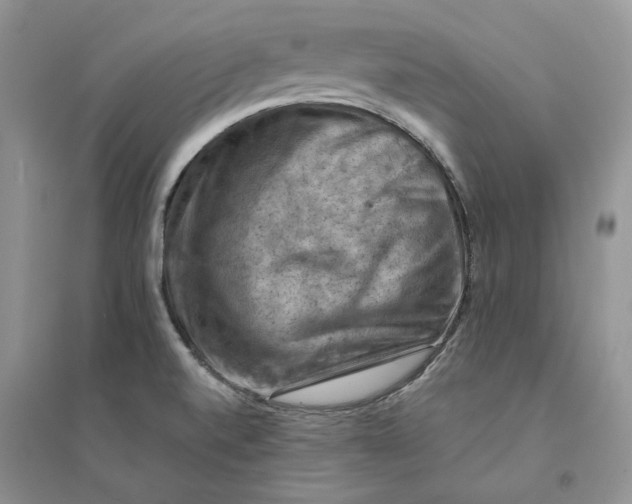 X0000094451520200711291647