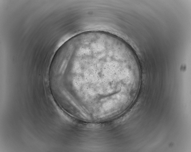 X0000094451521200711291647