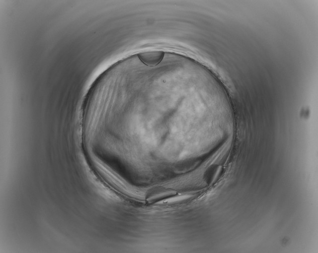 X0000094451522200711291647