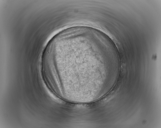 X0000094451523200711291647