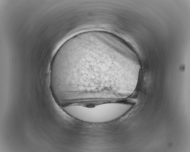 X0000094451524200711291647