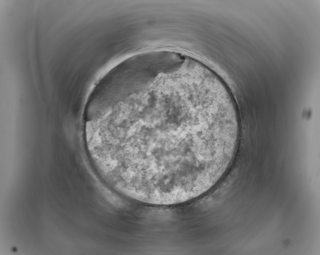 X0000094451525200711291647