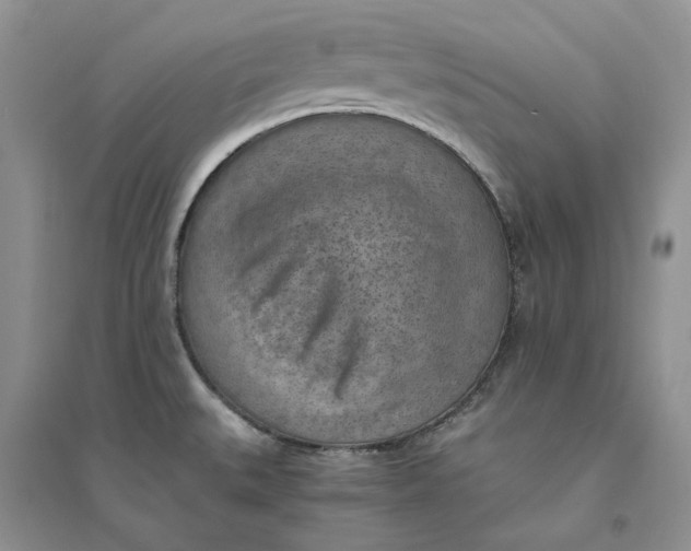 X0000094451527200711291647