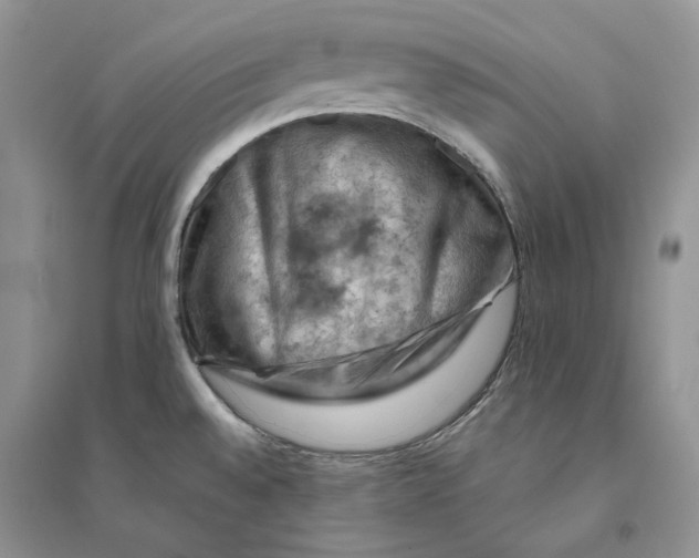 X0000094451528200711291647