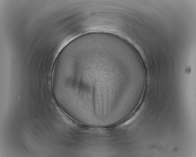 X0000094451529200711291647