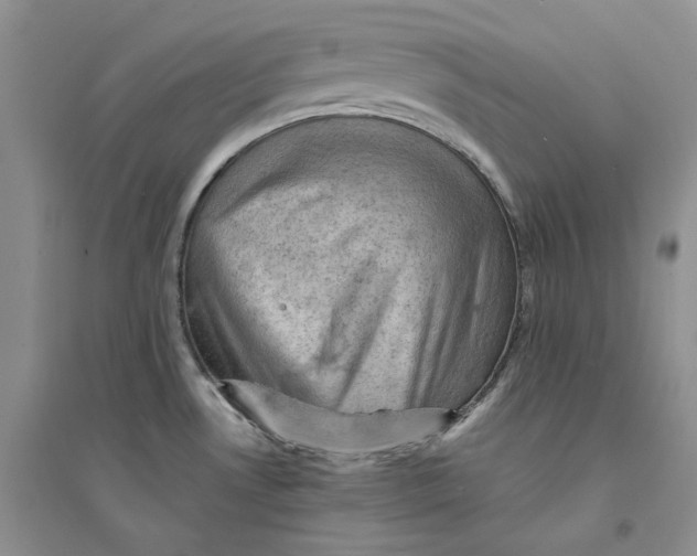 X0000094451530200711291647