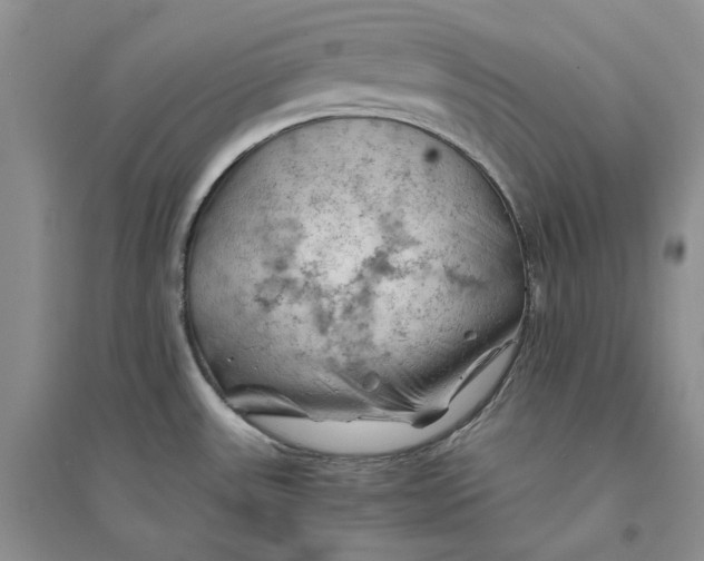 X0000094451531200711291647