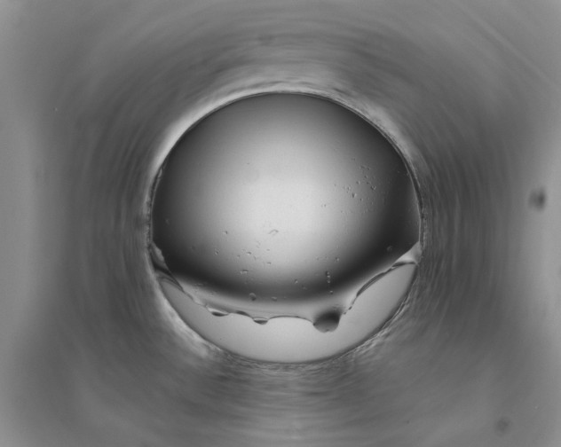 X0000094451532200711291648