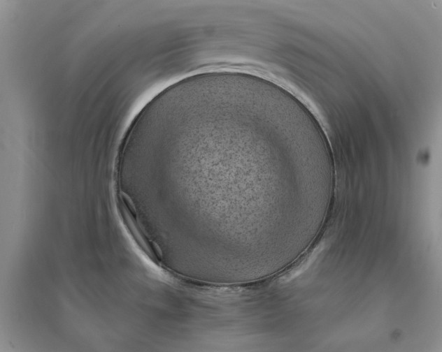 X0000094451533200711291648