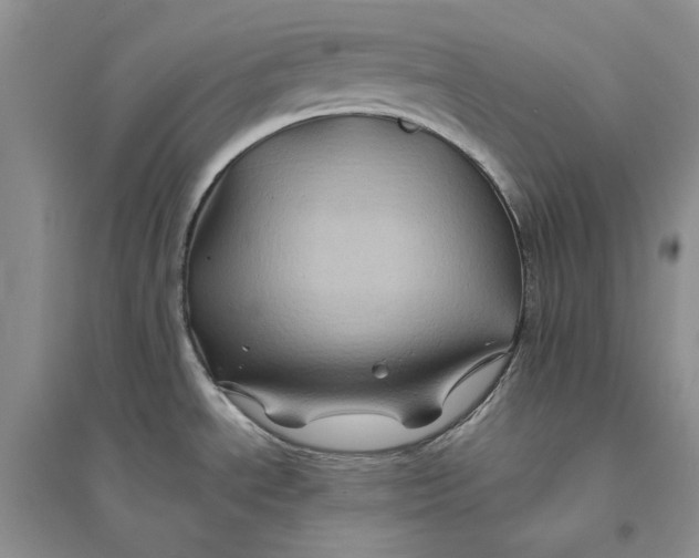 X0000094451534200711291648