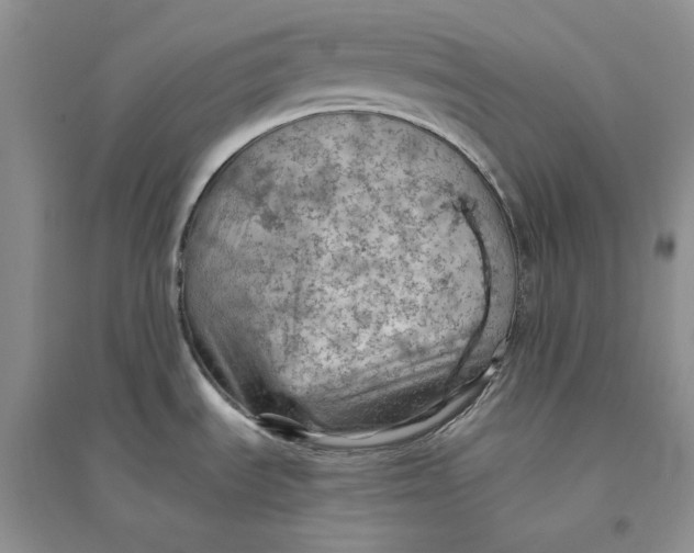 X0000094451535200711291648