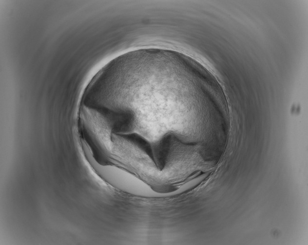 X0000094451536200711291648