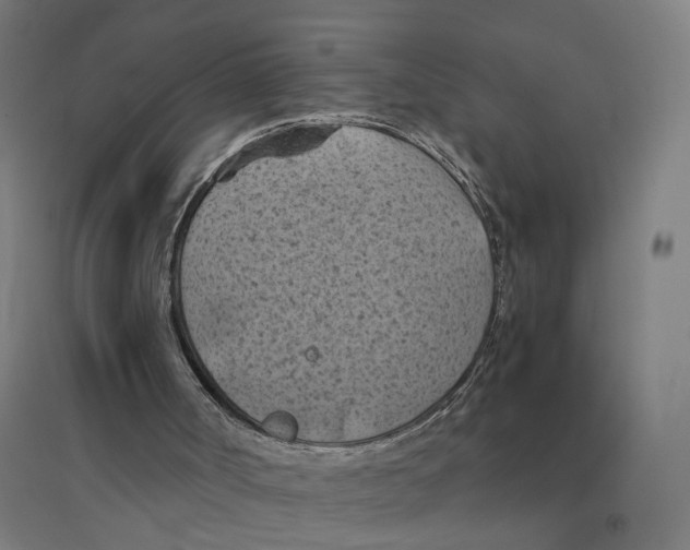 X0000094450002200712061211