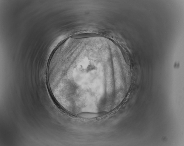 X0000094450003200712061211