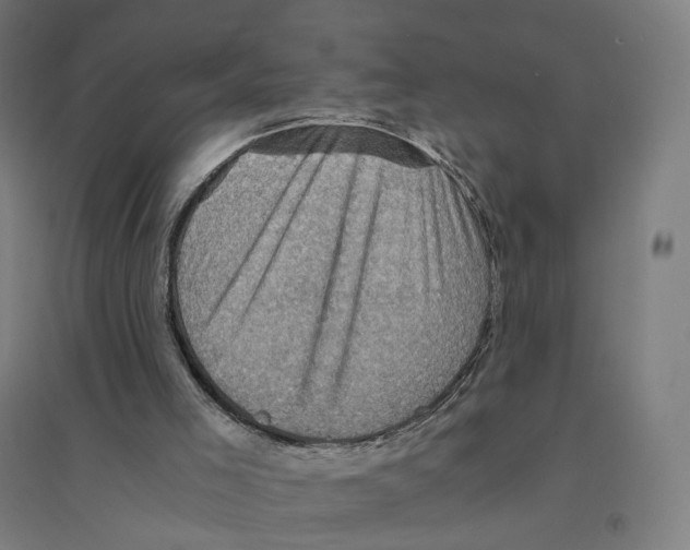 X0000094450005200712061211